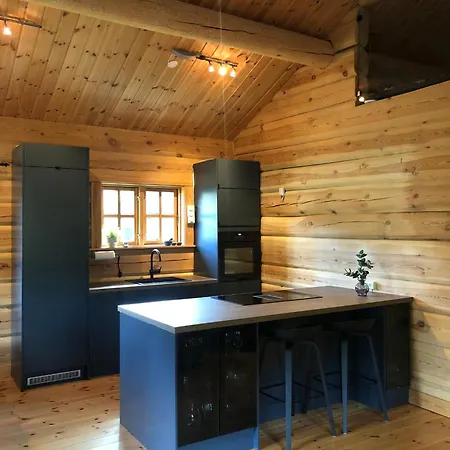 Hyggelig Laftehytte Pa 140kvm Med Ski-in/out Uvdal